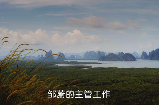 鄒蔚，2015年農(nóng)歷二月初七下午3點(diǎn)半出生姓鄒男孩起個什么名字