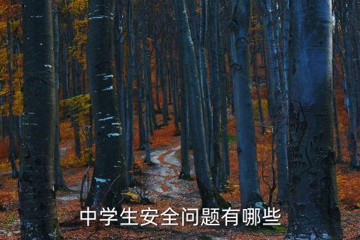 青少年安全，中學(xué)生安全問(wèn)題有哪些