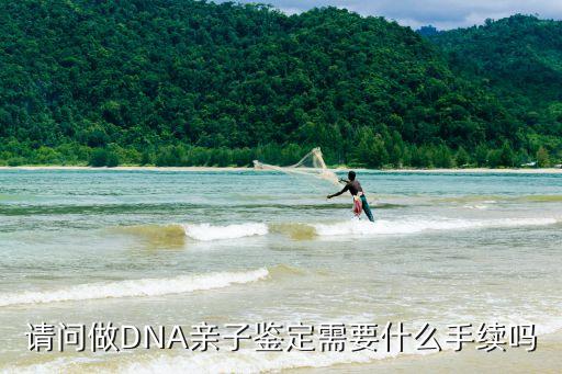 親子鑒定手續(xù)，如何做親子鑒定