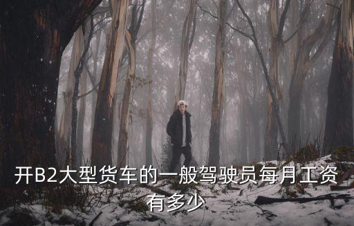 開B2大型貨車的一般駕駛員每月工資有多少