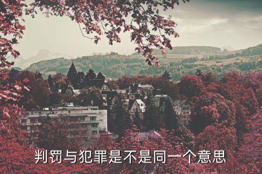 判罰，判罰是什么意思