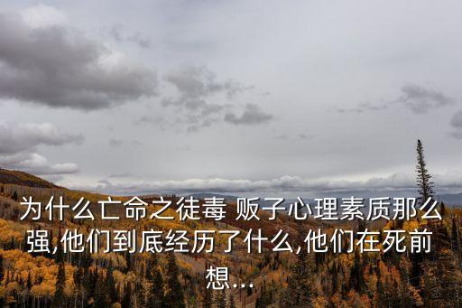 毒販子
