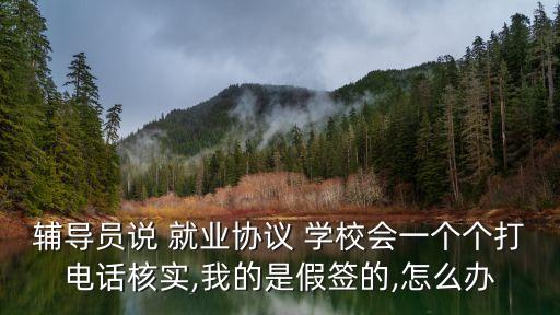 學校要的就業(yè)合同可以造假嗎