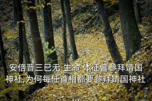 無(wú)生命體征,湖北網(wǎng)紅浮橋游覽車落水 5人無(wú)生命體征