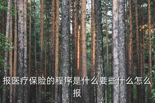報醫(yī)療保險的程序是什么要些什么怎么報