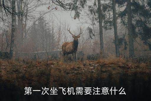 登機(jī)注意事項(xiàng),國內(nèi)航班登機(jī)注意事項(xiàng)
