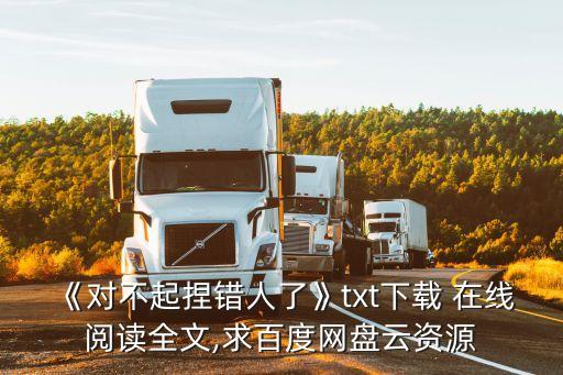 《對不起捏錯人了》txt下載 在線閱讀全文,求百度網盤云資源
