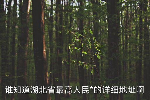 湖北省高院，誰(shuí)知道湖北省最高人民*的詳細(xì)地址啊