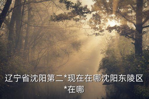 沈陽第二*，第二*在什么地方