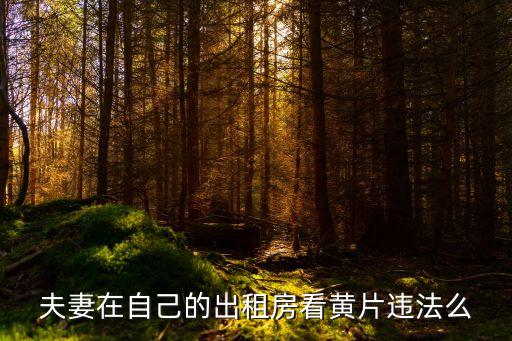 看黃色違法嗎，夫妻在自己的出租房看黃片違法么
