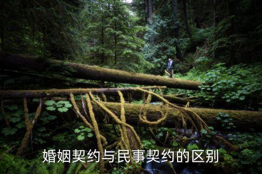 婚姻契約與民事契約的區(qū)別