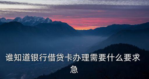 誰知道銀行借貸卡辦理需要什么要求 急