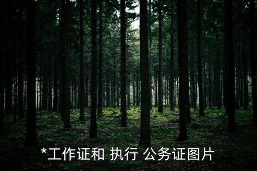 執(zhí)行公務(wù)
