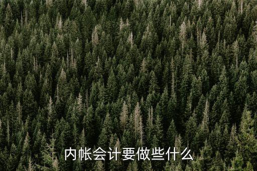 內(nèi)賬會(huì)計(jì)，內(nèi)帳會(huì)計(jì)工作內(nèi)容