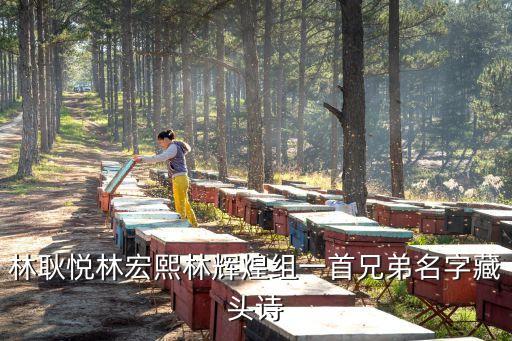 林輝煌，影片大小不良中的童星叫什么名字