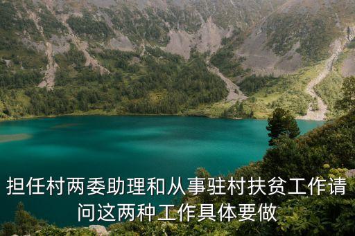 村書記助理，擔(dān)任村兩委助理和從事駐村扶貧工作請(qǐng)問(wèn)這兩種工作具體要做