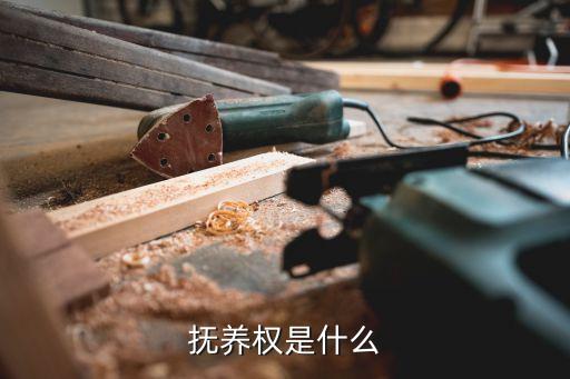 撫養(yǎng)權(quán)是什么