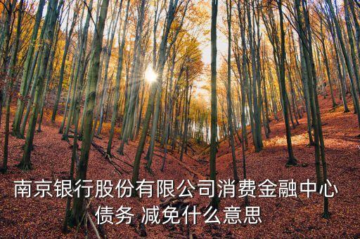南京銀行股份有限公司消費金融中心 債務 減免什么意思