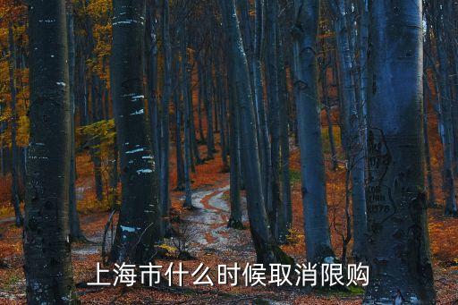 上海市什么時候取消限購