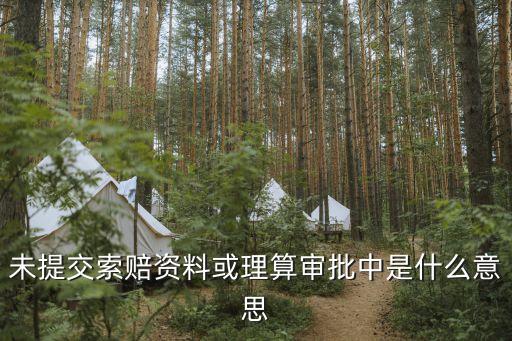 審批中，船員辦證網(wǎng)上申請后辦證進度審批狀態(tài)項就顯示 審批進行中 是什么