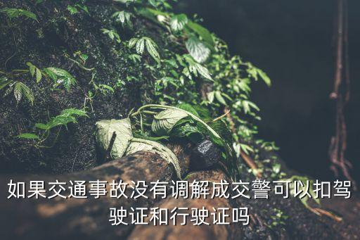 沒有和解，因債務(wù)*還沒調(diào)解會凍結(jié)財產(chǎn)么