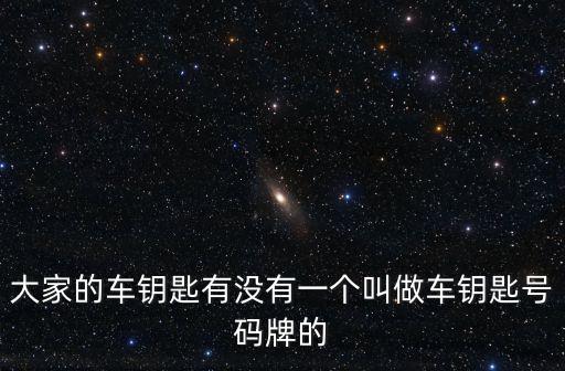 號(hào)碼牌，號(hào)牌是啥意思
