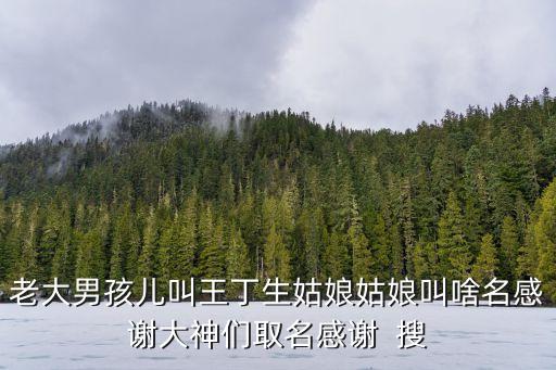 王丁，老大男孩兒叫王丁生姑娘姑娘叫啥名感謝大神們?nèi)∶兄x  搜
