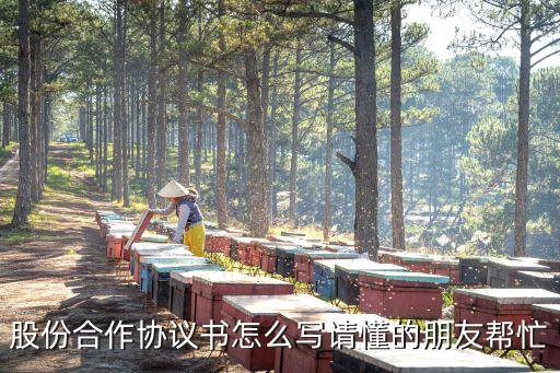 股份合作協(xié)議書怎么寫請(qǐng)懂的朋友幫忙