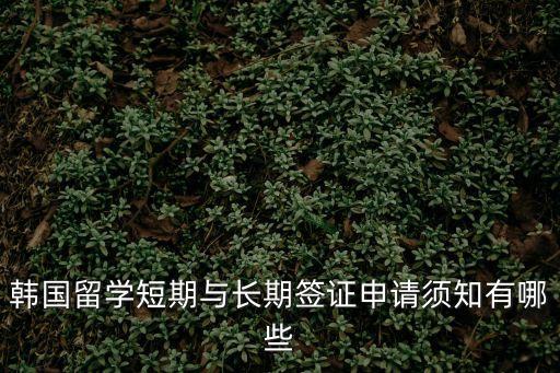 韓國短期簽證，韓國簽證分幾類第一次短期出國辦哪種好