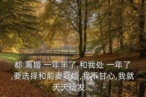 離婚一年半
