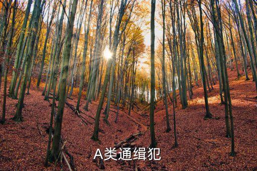 A級(jí)逃犯，A類通緝犯