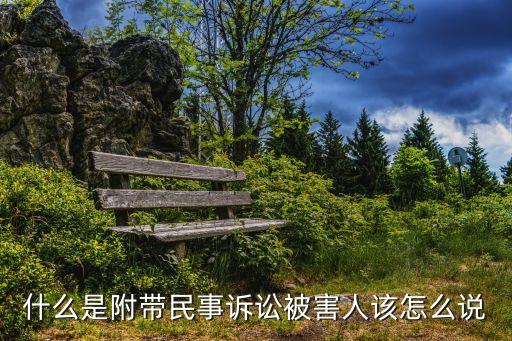 什么是附帶民事訴訟被害人該怎么說