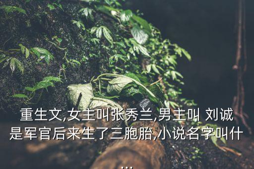 劉誠(chéng)
