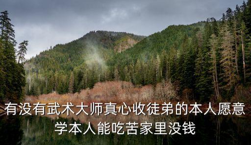 有沒有武術(shù)大師真心收徒弟的本人愿意學本人能吃苦家里沒錢