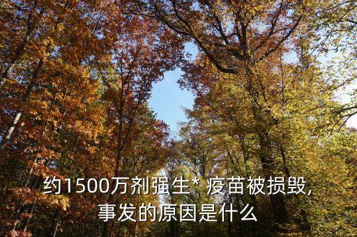 約1500萬劑強生* 疫苗被損毀,事發(fā)的原因是什么