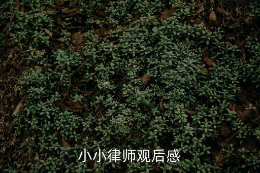 小小律師觀后感
