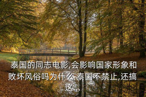  泰國(guó)的同志電影,會(huì)影響國(guó)家形象和敗壞風(fēng)俗嗎為什么 泰國(guó)不禁止,還搞這...
