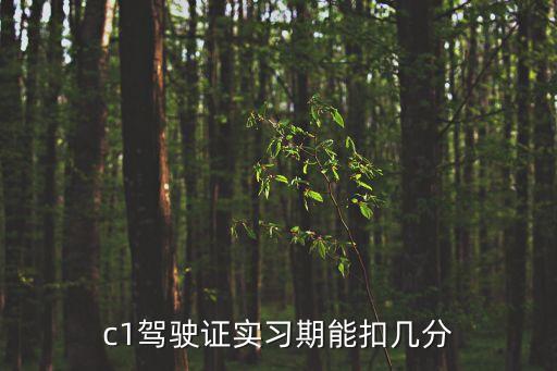 c1駕照實(shí)習(xí)期扣分規(guī)定，c1駕照實(shí)習(xí)期扣分規(guī)定有哪些