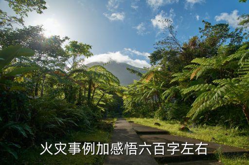 火災(zāi)事例加感悟六百字左右