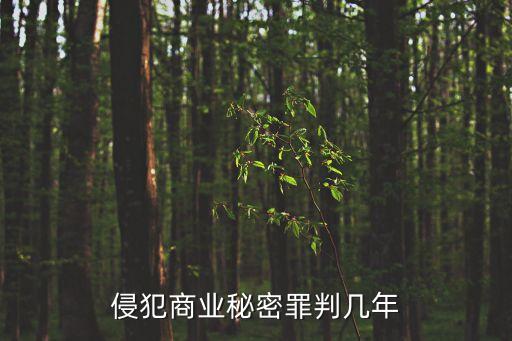 侵犯商業(yè)秘密罪判幾年