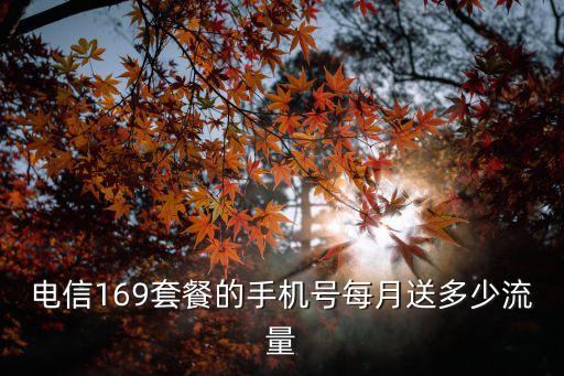 電信169套餐，電信169套餐的手機號每月送多少流量