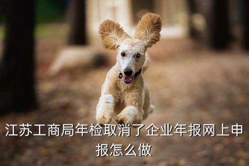 江蘇工商年檢網(wǎng)上申報(bào)，江蘇工商局年檢取消了企業(yè)年報(bào)網(wǎng)上申報(bào)怎么做