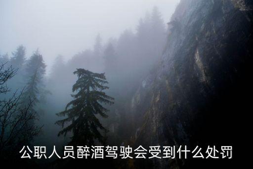 公職人員醉駕，公務(wù)員醉酒駕駛怎樣處罰