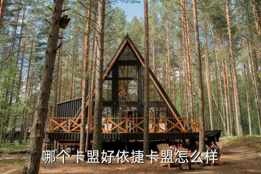 游戲輔助卡盟，哪個(gè)卡盟有dnf輔助