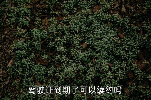 駕駛證到期了可以續(xù)約嗎