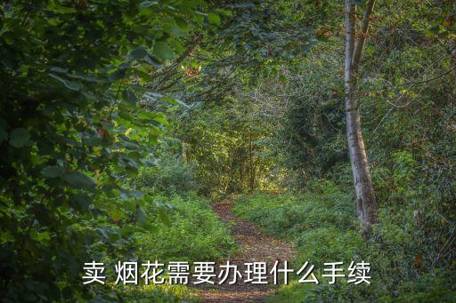 煙花售賣,合肥煙花售賣