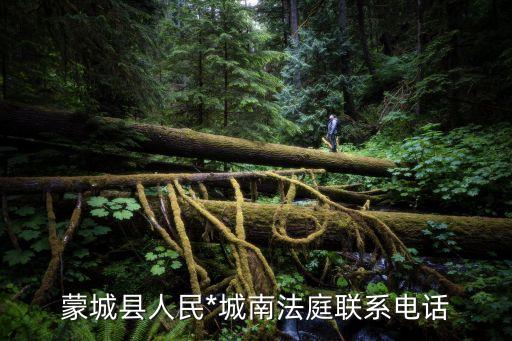 蒙城縣人民*城南法庭聯(lián)系電話
