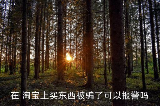 在 淘寶上買東西被騙了可以報(bào)警嗎