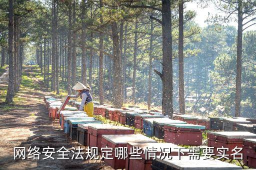 網(wǎng)絡(luò)安全法規(guī)定哪些情況下需要實名
