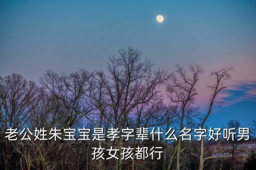 朱孝清，我國最高人民檢察院副檢查長是誰